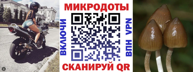 Купить где  Спасск-Дальний  Псилоцибиновые грибы мицелий 